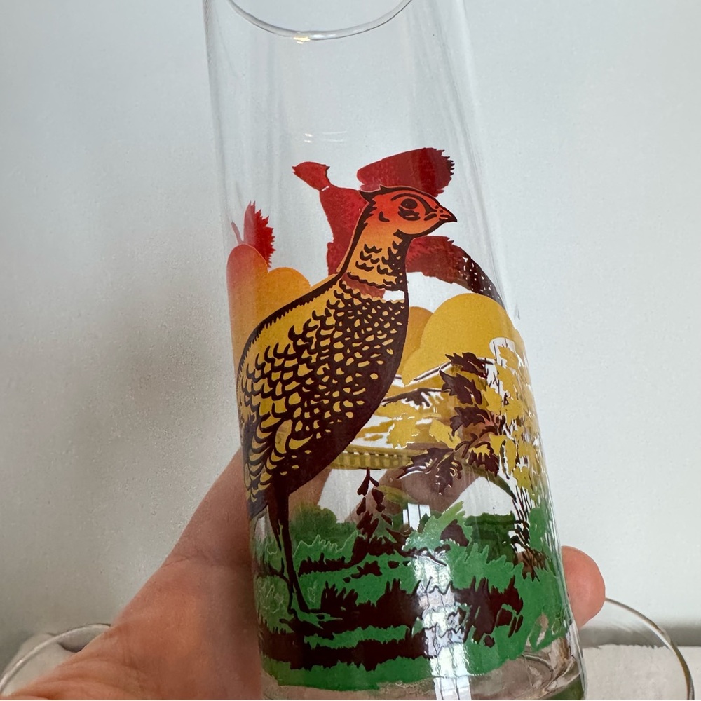 6 MCM Tom Collins Tumblers Tall Drinking Glasses Pheasant Hunting Scene - Picture 5 of 6
